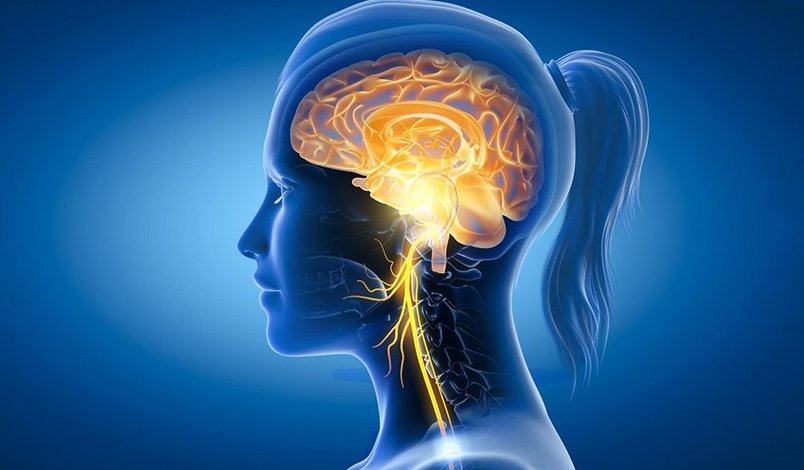 El nervio vago y su poder sanador